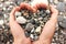 Heart shaped small pebbles in female hands