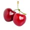 Heart-shaped sweet cherries