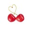 Heart-shaped sweet cherries