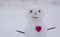 Heart and snowman. Happy Valentine`s day.