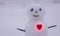 Heart and snowman. Happy Valentine`s day.