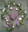 Heart, stone, kardiak, cardiac activity, flat layout, Board, flower take care, flatlay bindweed, sea, ocean, beach