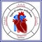 Heart structure. Types of cardiac arrhythmia.