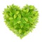 Heart symbol green liaves