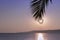 Heart symbol of love hanging on tropical palm, seascape in background. Valentine`s day. Trend color Very Peri copy space