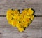 Heart symbol made of flowers dandelions.