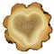 Heart of tree - growth rings of acacia tree - cros