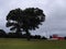 Heart tree and red barn