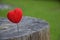 A heart on a tree stump.