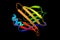 Heart-type Fatty Acid-Binding Protein, a small cytoplasmic protein