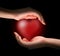 Heart in women\'s hands