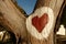 Heart on wood