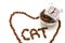 The heart and the word CAT are lined with pieces of dry cat food. An alarm clock and a bowl of dry cat food inside this heart