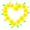 Heart of yellow dandelions