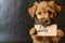 Heartfelt Regret: A Puppy\\\'s Endearing Apology with an \\\'I\\\'m Sorry\\\' Sign