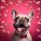 Heartfelt Strength: french Bulldog Portrait Amidst Valentine\'s Love
