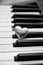 Hearth on piano keyboard music love concept passion art