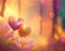 Hearts and flowers in a magical forest, serenity at sunset, AI generated