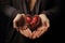 Hearts in hands symbolic gesture of affection Heart in woman hands Love giving, care, health, protection