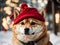 Heartwarming Canine Cheer: Shiba Inu\'s Merry Magic and Festive Delight.