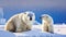 A Heartwarming Encounter: Two Polar Bears Embrace in the Arctic Wilderness