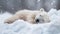 Heartwarming image of a young polar bear cub amid a delicate snowfall in a serene winter landscape