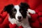 Heartwarming scene Cute border collie puppy with red heart background