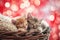 A heartwarming scene of two happy kittens cuddled up together in a cozy basket, their tiny paws and tails entwined, symbolizing