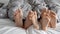 Heartwarming stock footage of happy family\'s feet lying together under the blanket. Feeling of warmth, security, and love.
