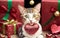 A Heartwarming Valentine\\\'s Day Celebration with Your Adorable Smiling Cat