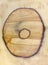 Heartwood texture background, wooden circular cross section