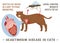 Heartworm disease in cats. Editable vector illustration.