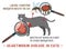 Heartworm disease in cats. Editable vector illustration.