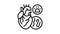 heartworm disease line icon animation