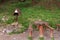 Hearty spring of water in Mala Fatra mountains in front of the chalet under mountain Suchy Vrch. Drinking water source for