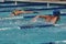 A heat of butterfly swimmers racing at a swim meet