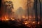 Heat danger forest fire nature red hot burn environment disaster emergency trees smoke