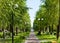 Heat, July. City alley planted with poplars. Footpath goes to the horizon. On the sides of the path there are lanterns with round