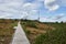 Heath landscape on Hornisgrinde in the Black Forest