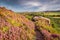 Heather bracken and crags on Rothbury Terraces