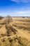 Heather fields of nature reserve Drents-Friese Wold