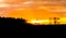 Heather and forest landscape dark silhouette at sunset, vibrant orange sky and clouds because of sundown