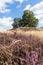 Heather and Grave Mound