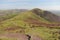 Heather in Pentland Hills near Edinburgh, Scotland