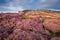 Heather on Rothbury Terraces