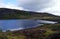 Heather and Scottish Loch, Perthshire