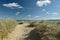 Heather trail near Studland beach on Dorset coast