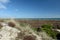 Heather trail near Studland beach on Dorset coast