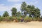 Heathland in National Park Maasduinen in the Netherlands - couple with their dog