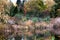 Heathland and pond Botanical Garden University of Bayreuth